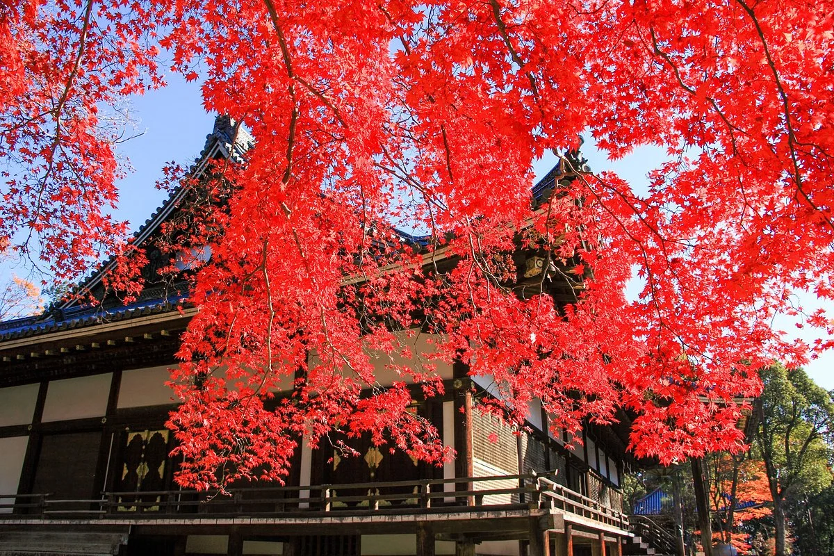 Ninna-ji Temple