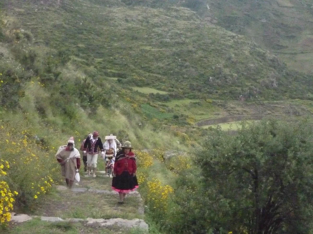 Sumac Coca Travel, Day Tours