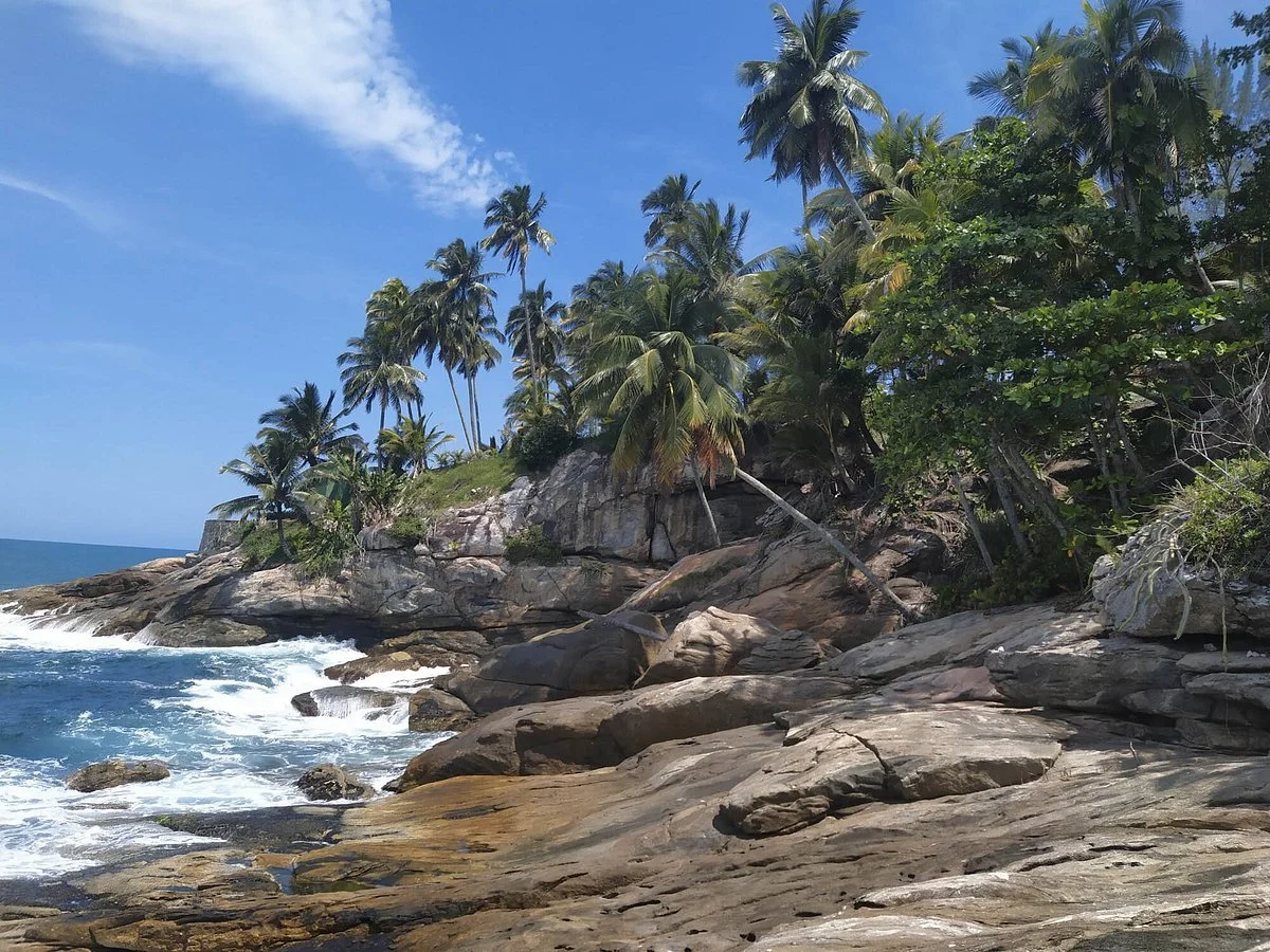 Ilha Dos Arvoredos