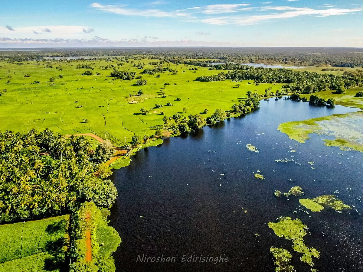 Anawilundawa Wetland Sanctuary