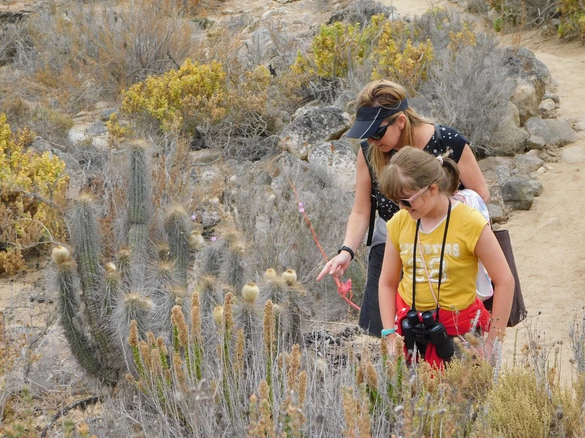 Indian Valley Explorers