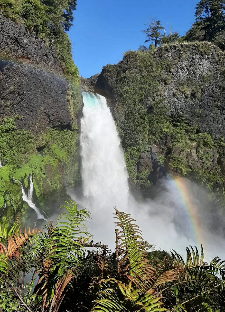 Parque Neltume - Salto Huilo Huilo
