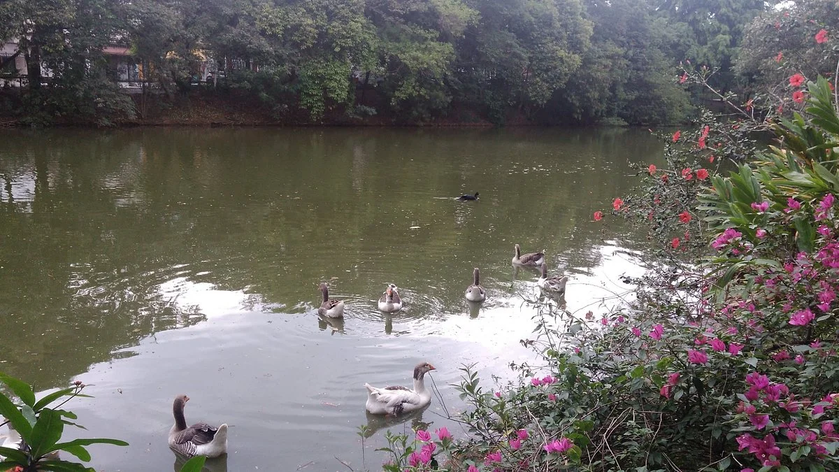 Parque Dionisio Alvares Mateos