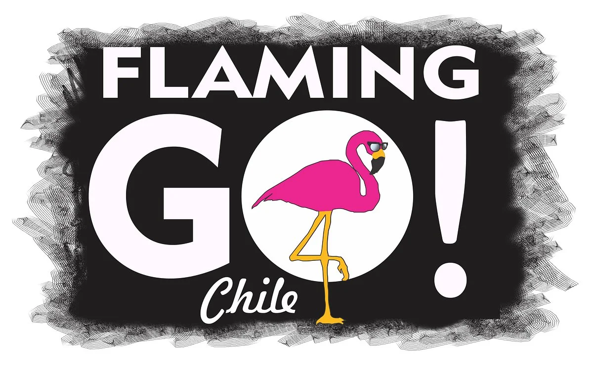Flaminggo Chile