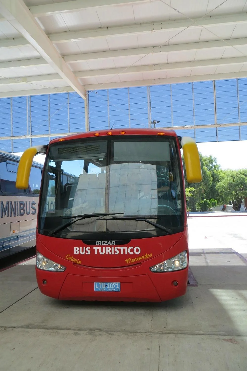 Bus Turistico Colonia