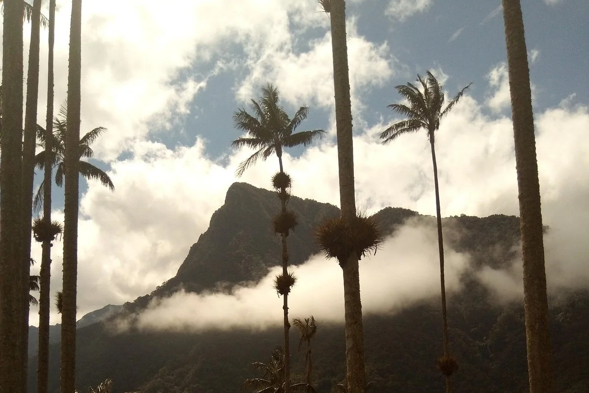 Mystical Tours Colombia