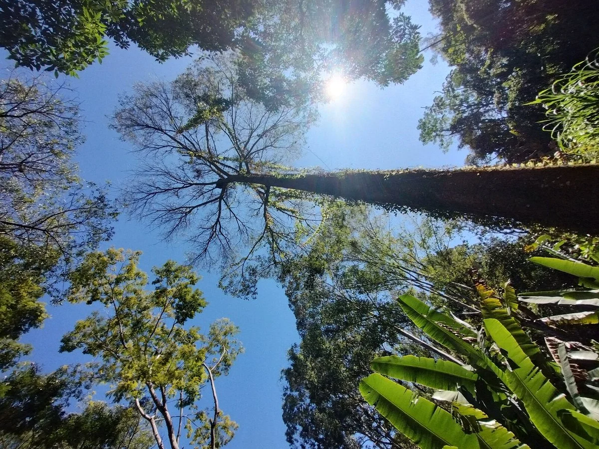 Parque Vale dos Contos