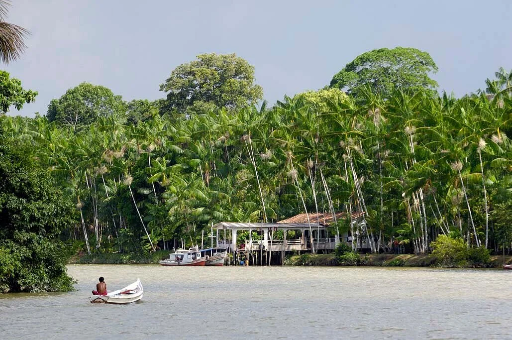 Amazon Star Turismo