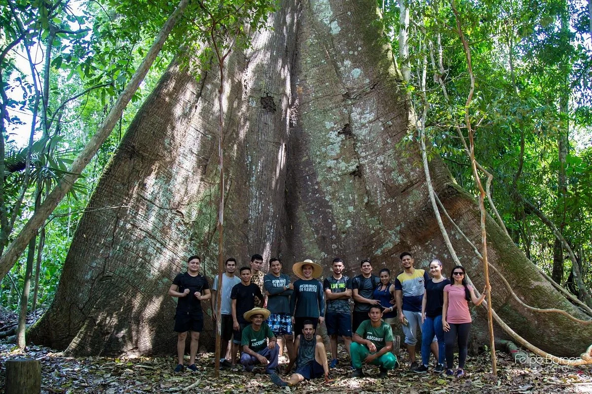 Projeto Caminhos da Floresta