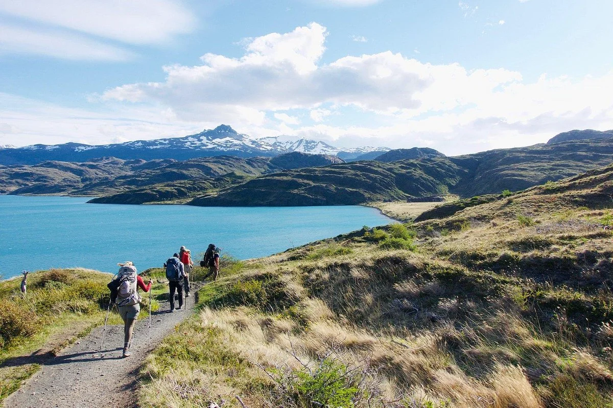 OneSeed Expeditions - Chile