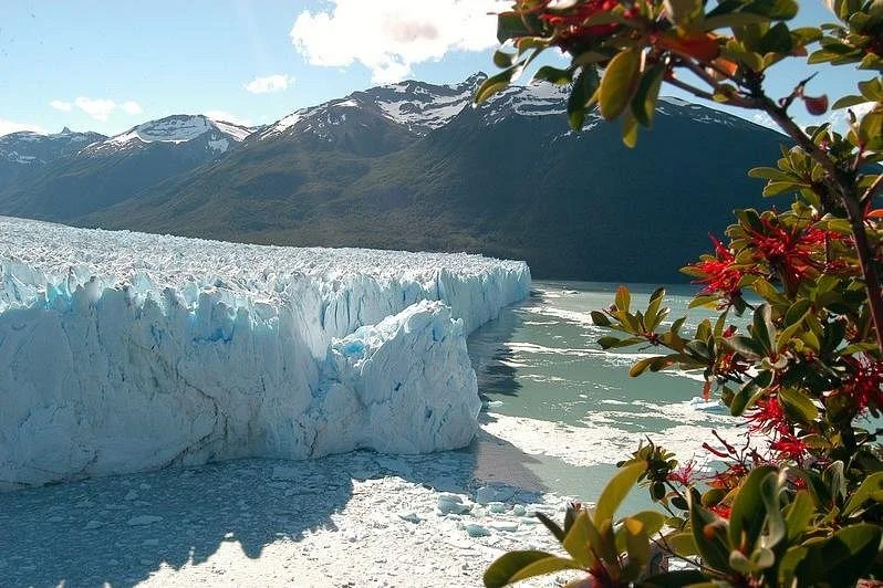 Argentina Travel Online