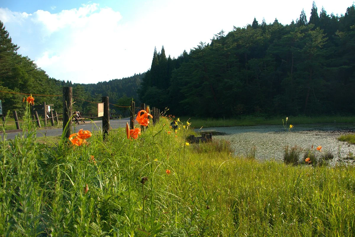 Kashibaru Bog