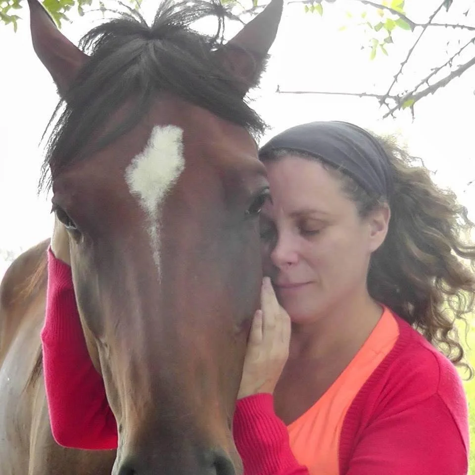 Vibra tu corazón caballo