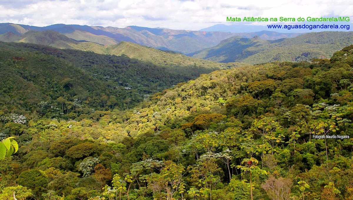 Serra do Gandarela National Park