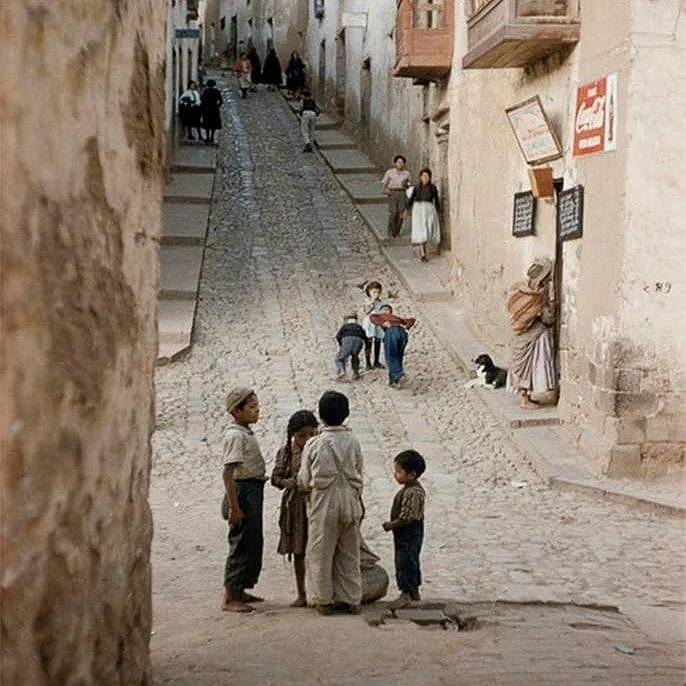 wayki walk tours