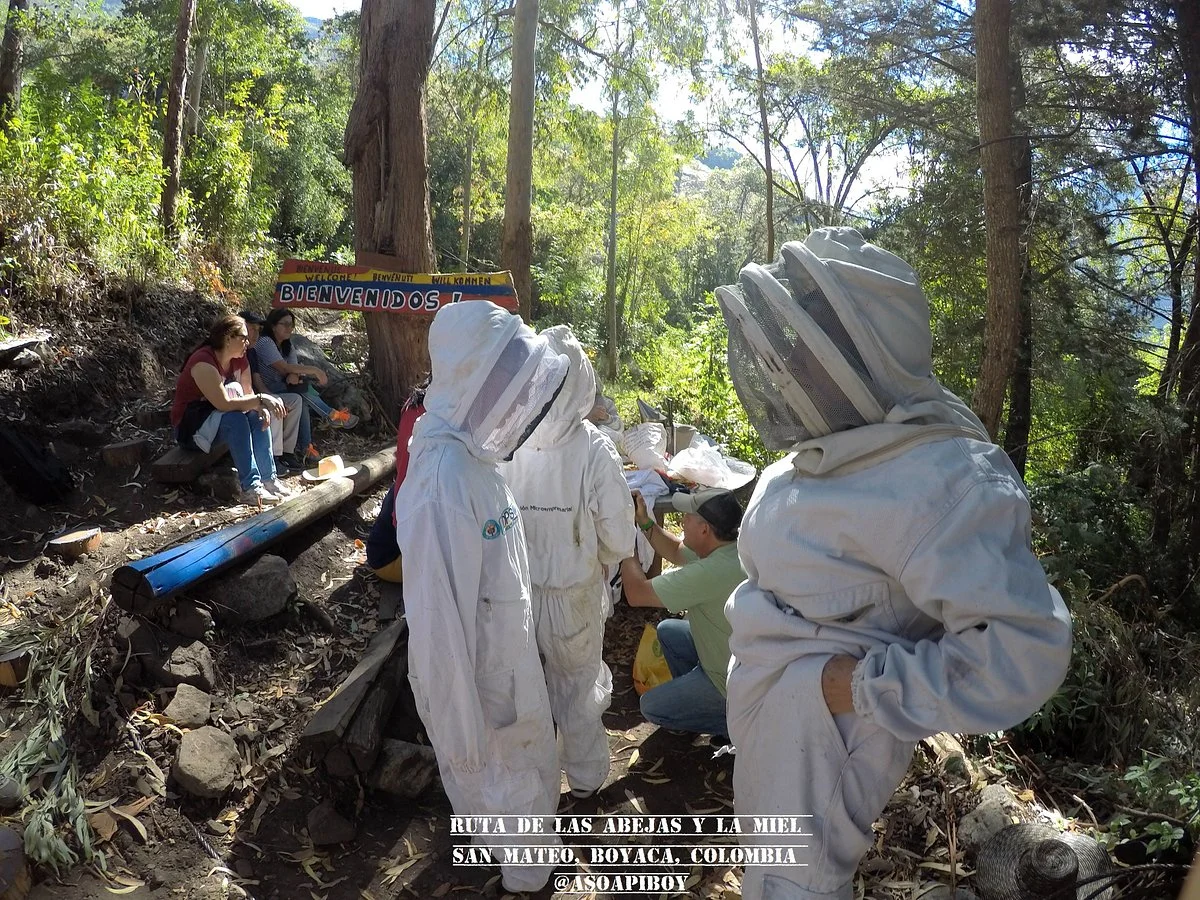 Ruta de las abejas y la miel