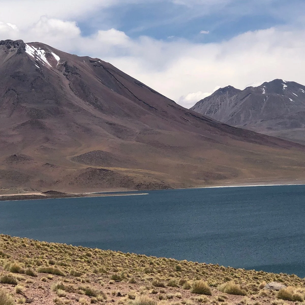 Vive Atacama