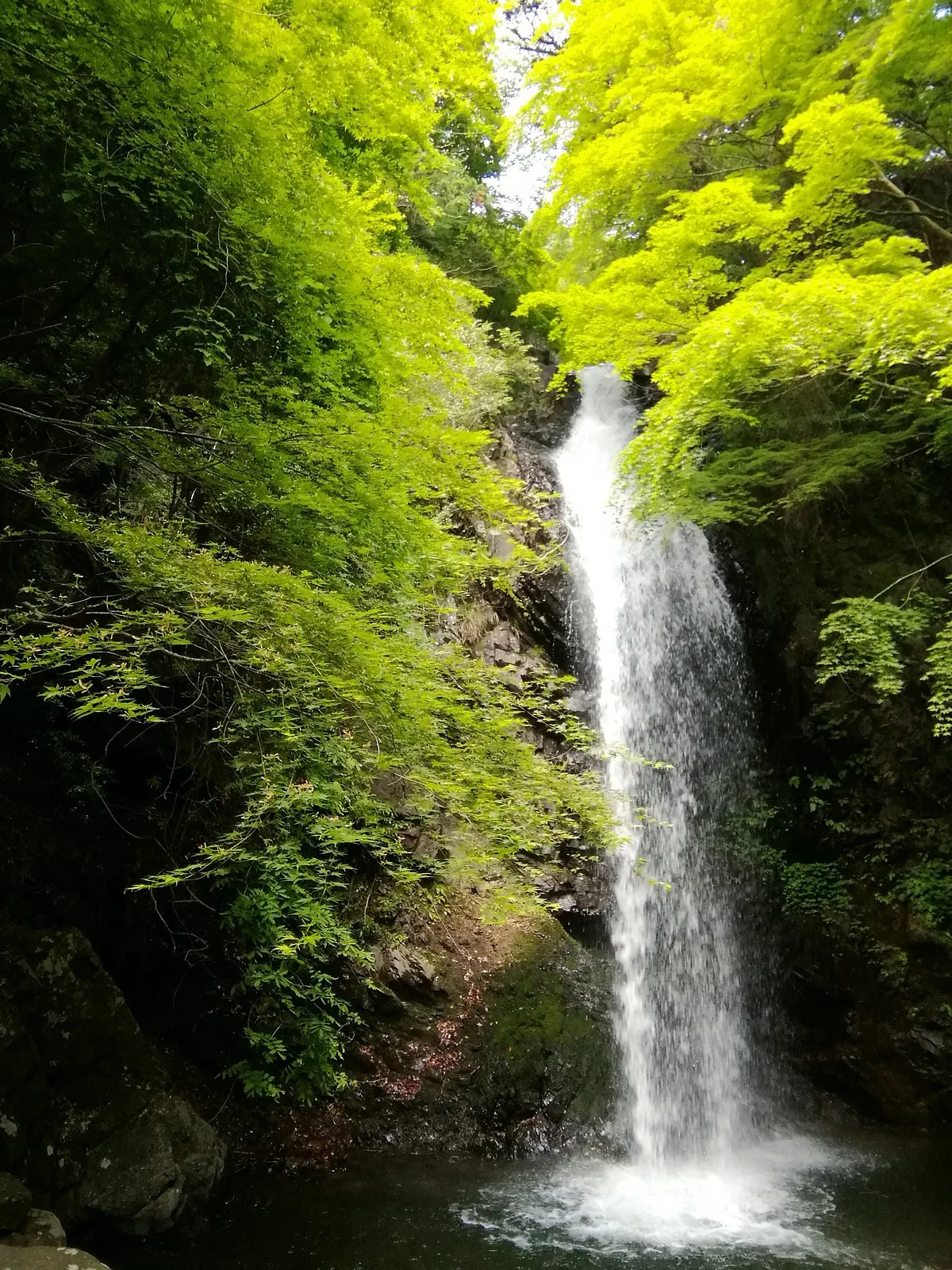 Shirafuji Falls