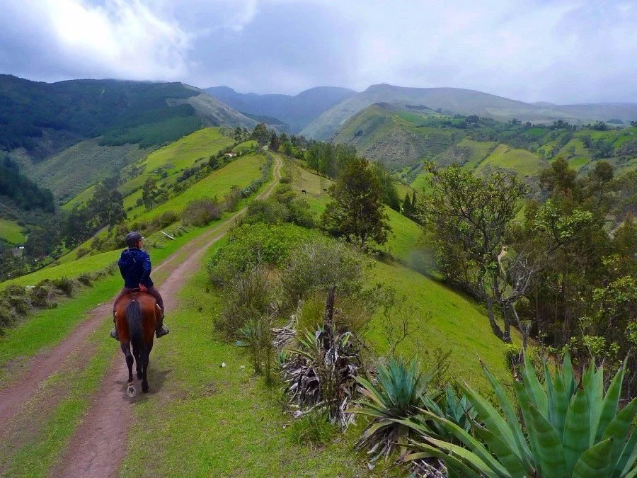 Hostería Papagayo Cotopaxi - Horseback Riding