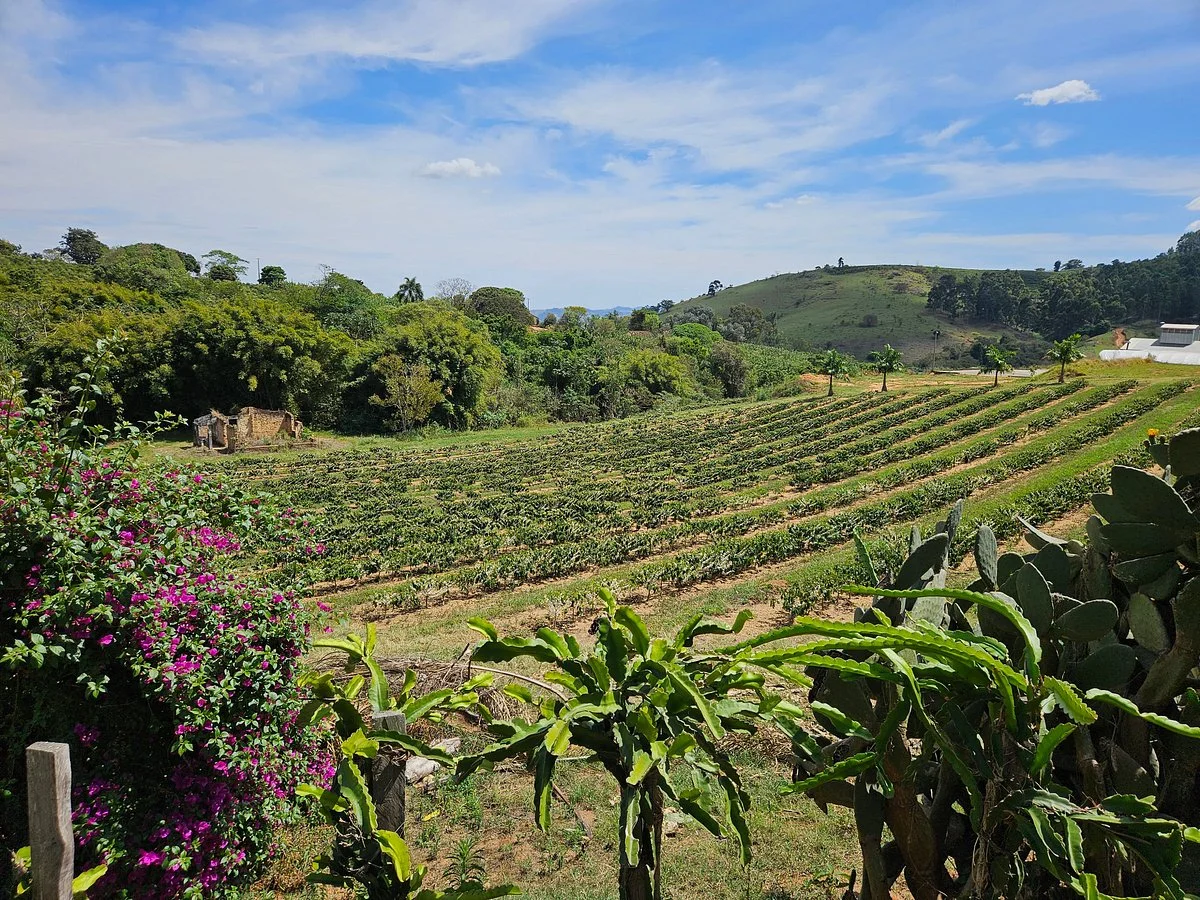 Fazenda 7 Senhoras