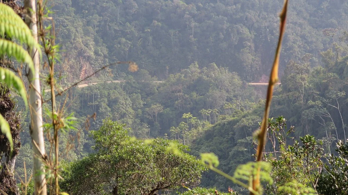 Ruta del Cafe Villa Rica