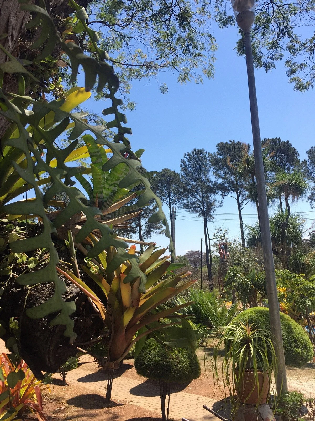 Parque Municipal Jacques Cousteau