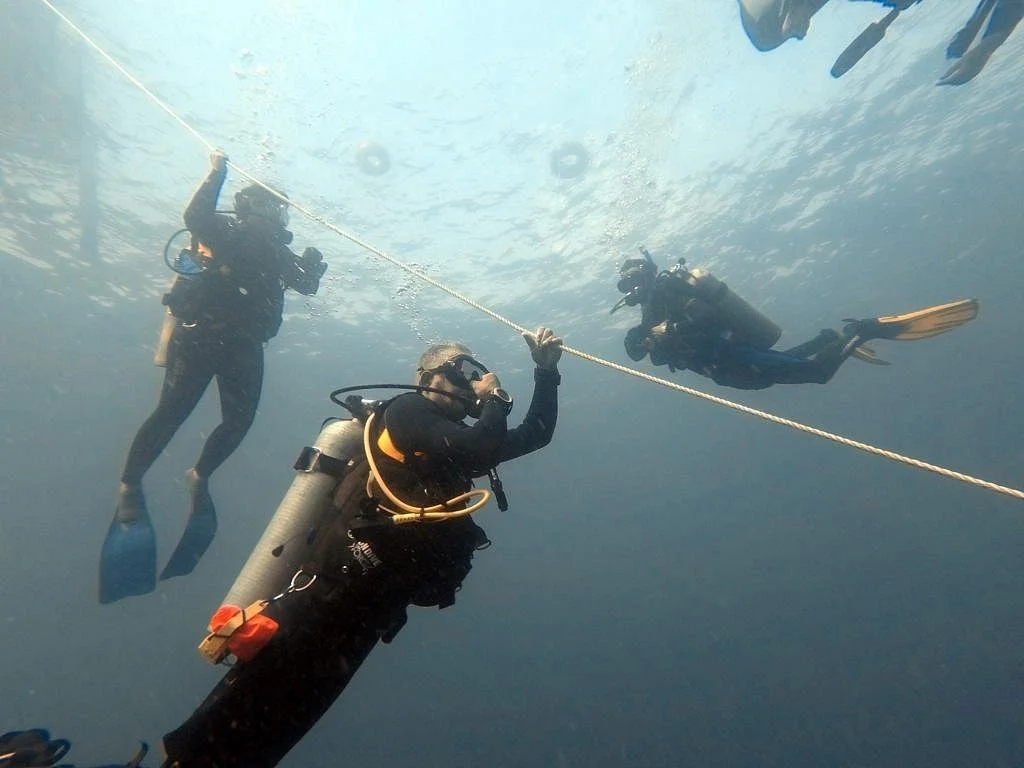 Macau Dive