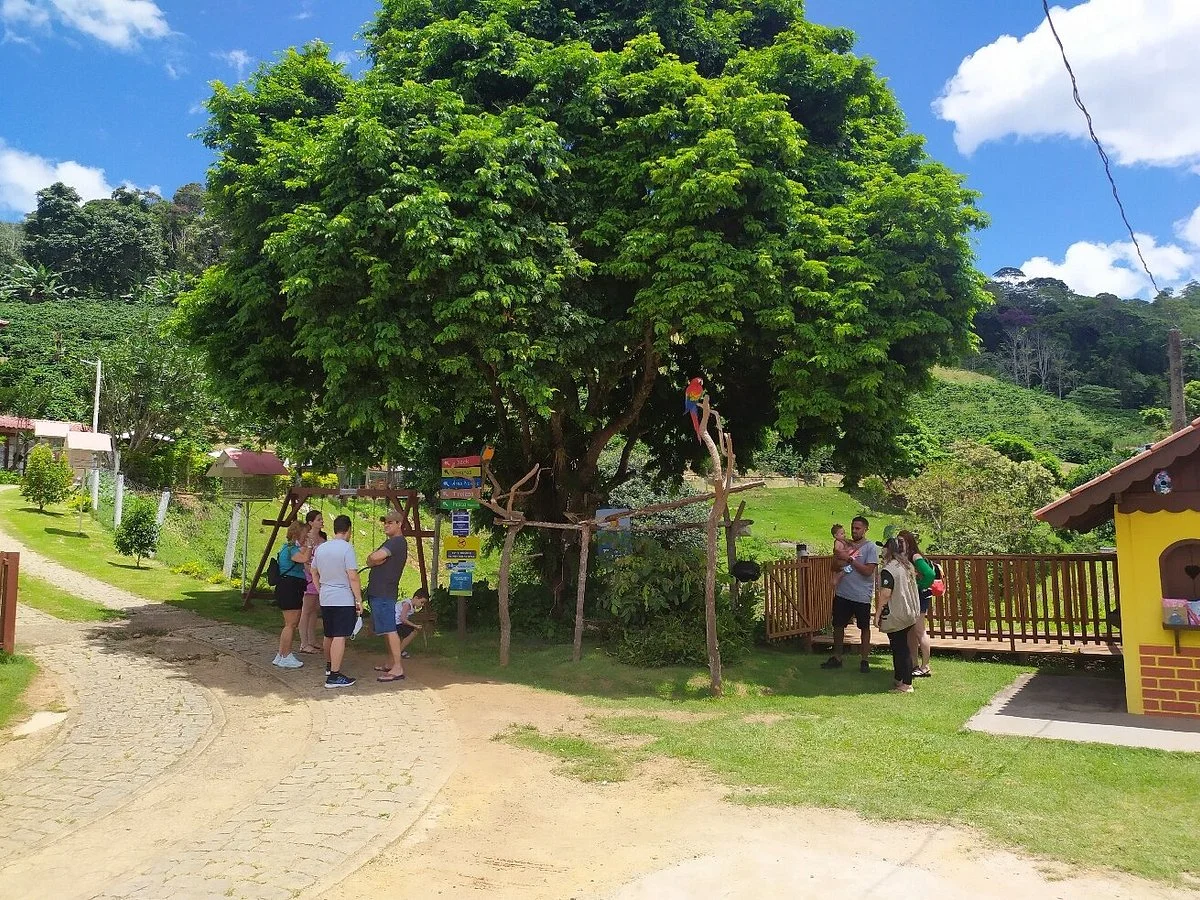 Bioparque Das Aves