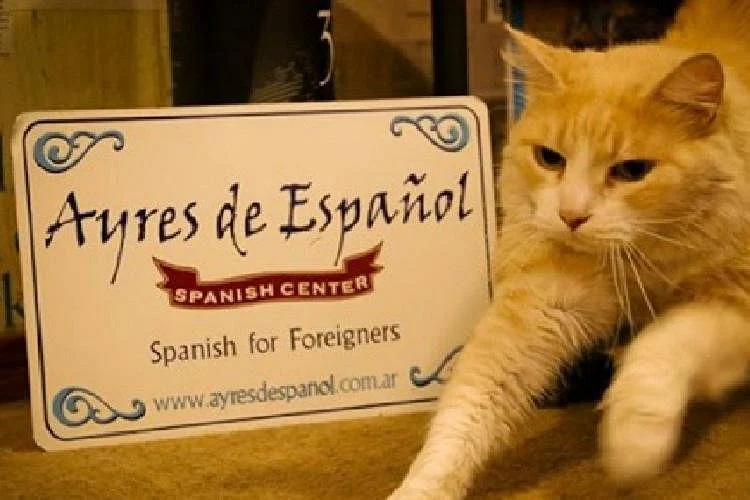 AYRES DE ESPAÑOL