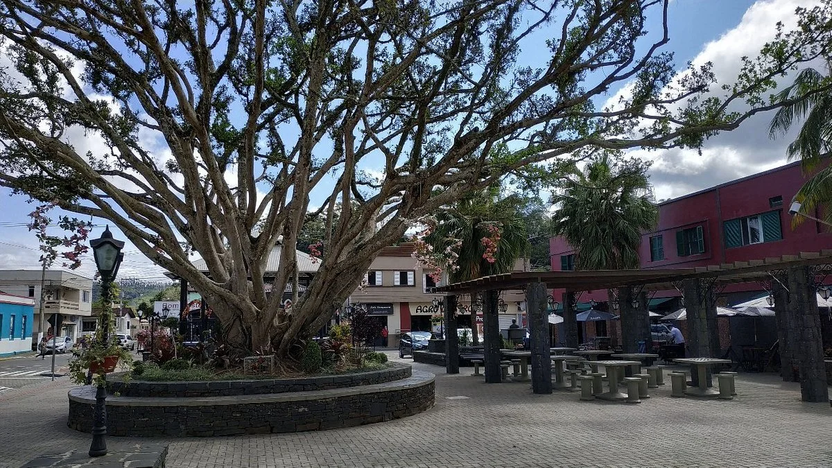 Rota Gastronomica de Nova Veneza