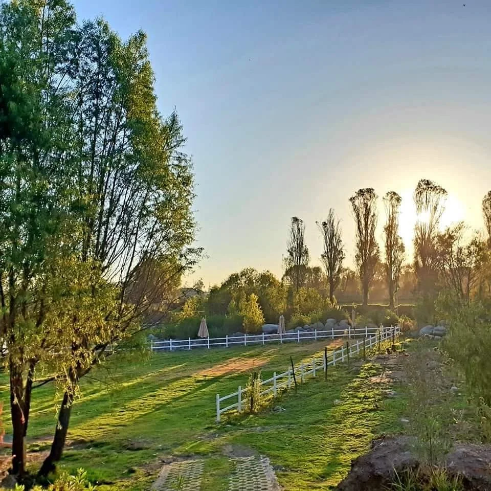 Camping & Lodge