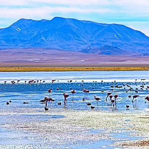 Turavion North - Excursions & Transfers
