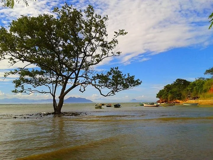 Mangue de Pedras