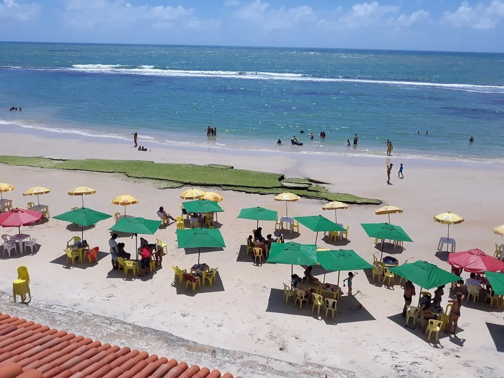 Translado Alagoas Paju