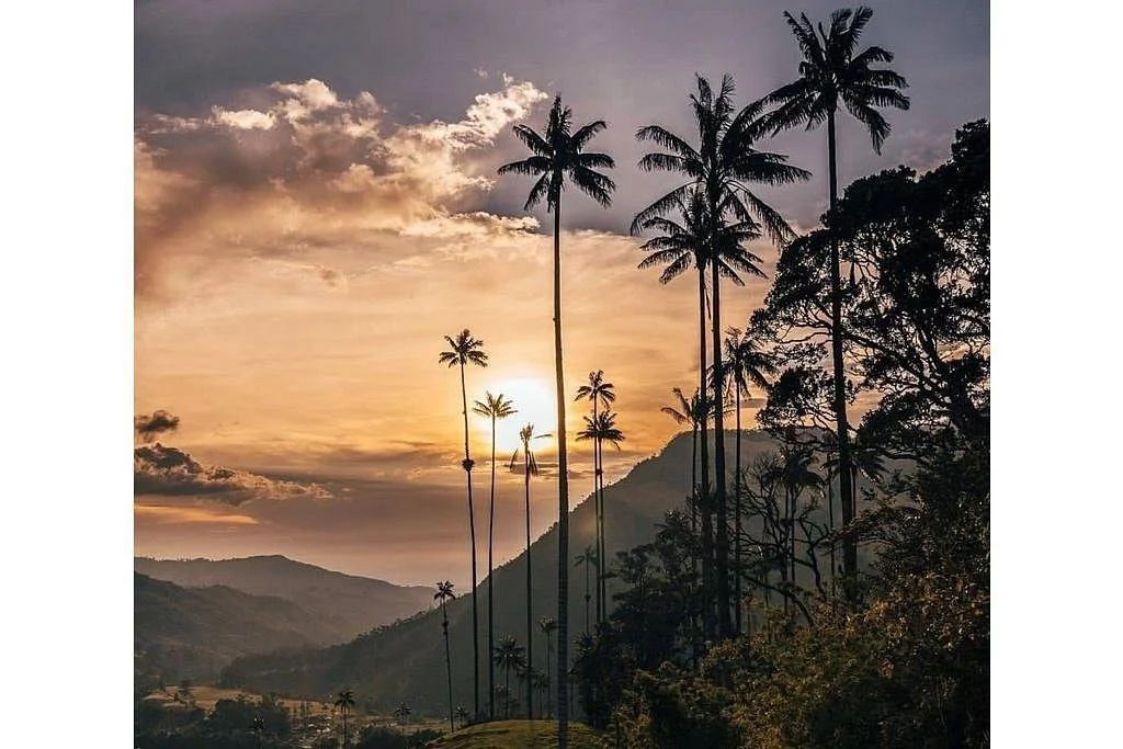 Quindio Tours