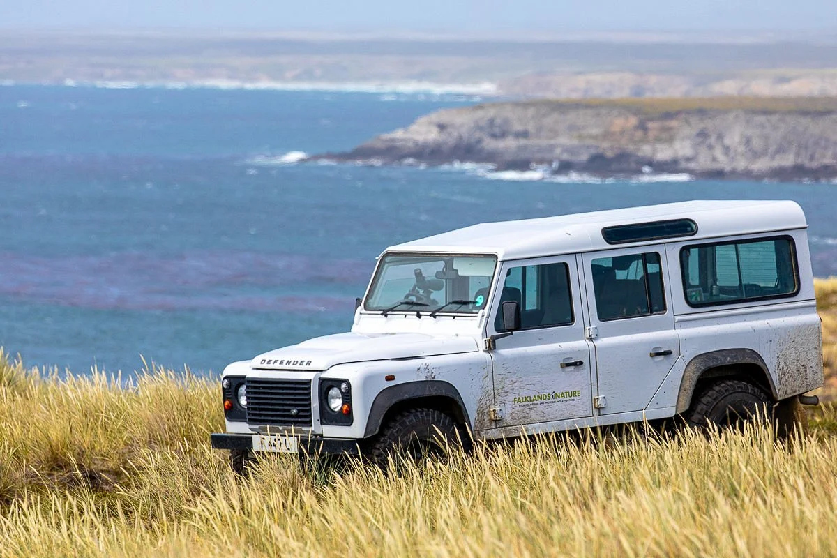 Falklands Nature