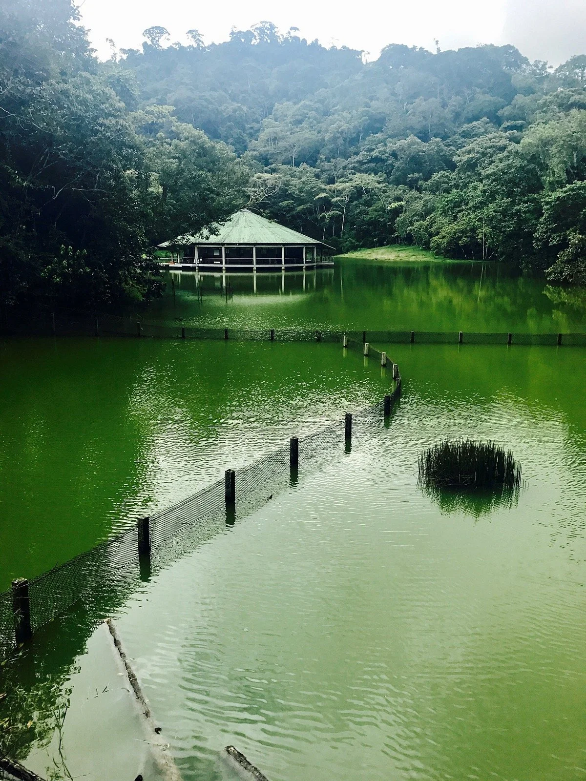 Centro Experimental Amazonico