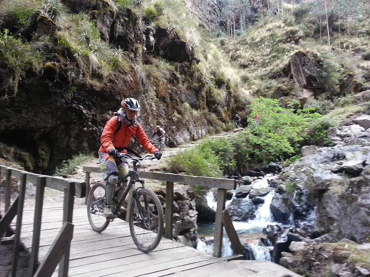 Quechua Bikes