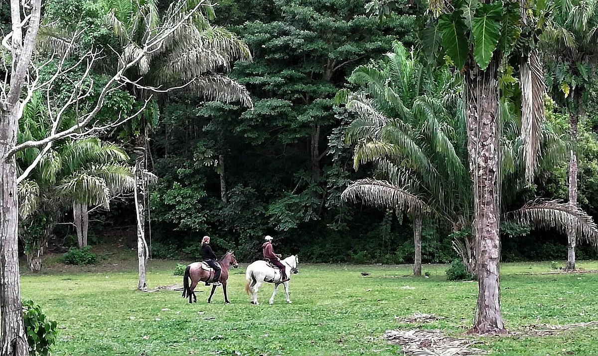 El Chocolatal Golf Eco Resort