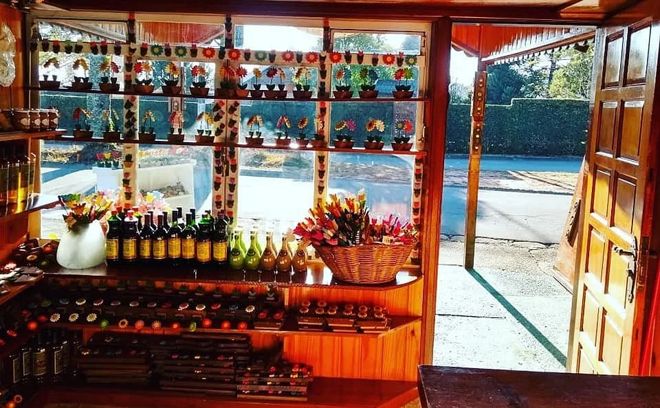 As Camponesas- artesanatos.
