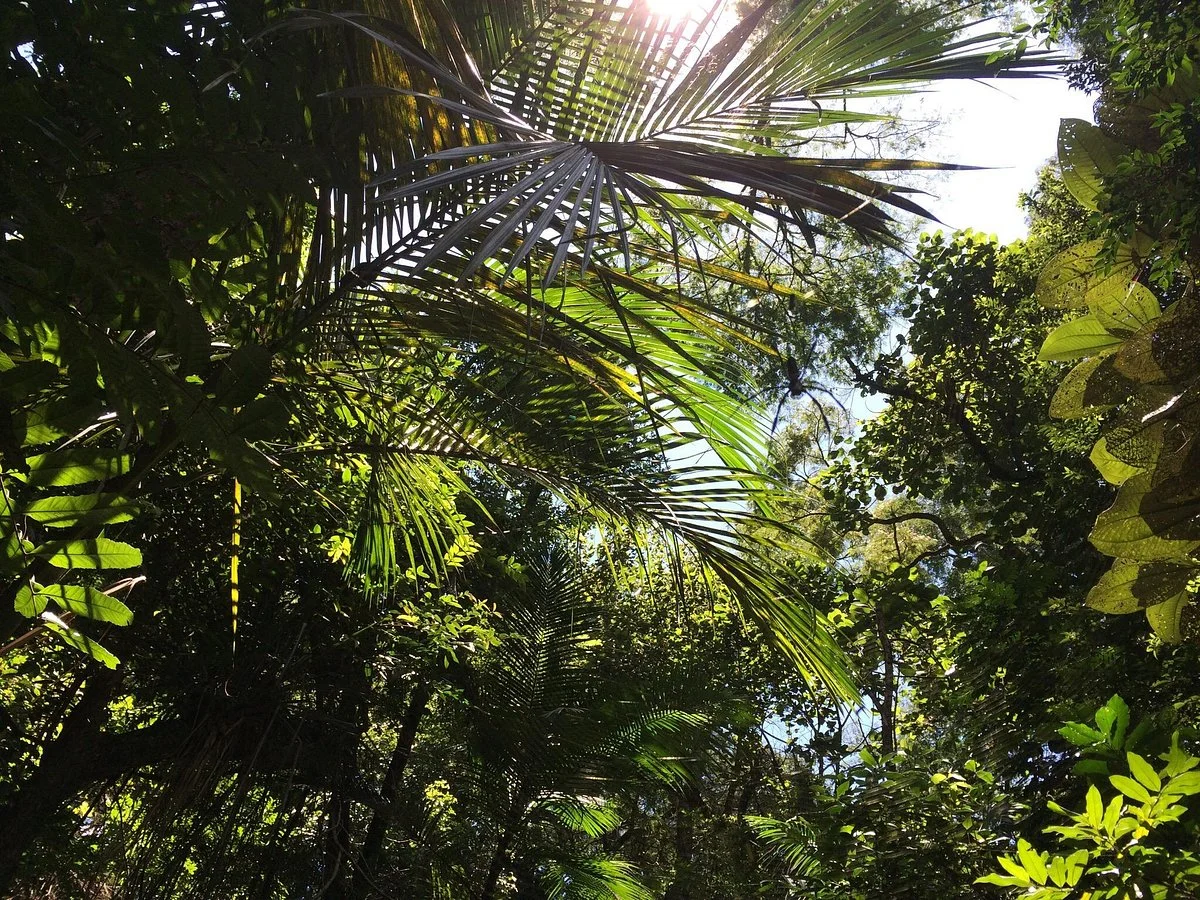 Parque Previdencia