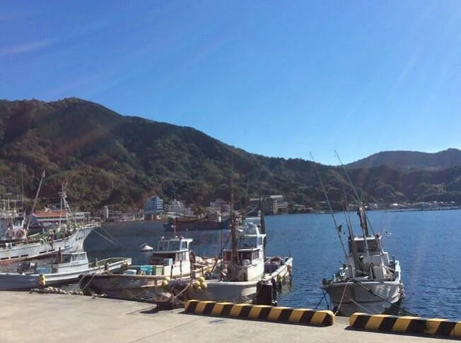 Uchiura Gulf