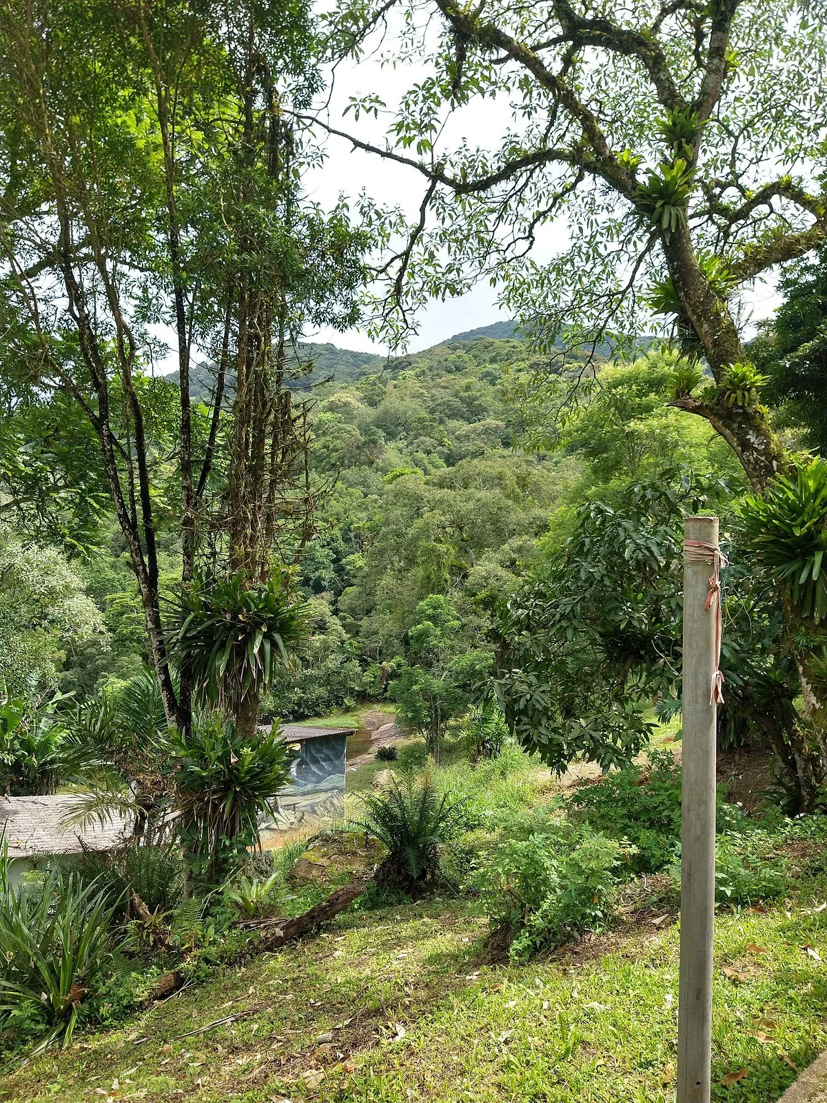 Simplao de Tudo