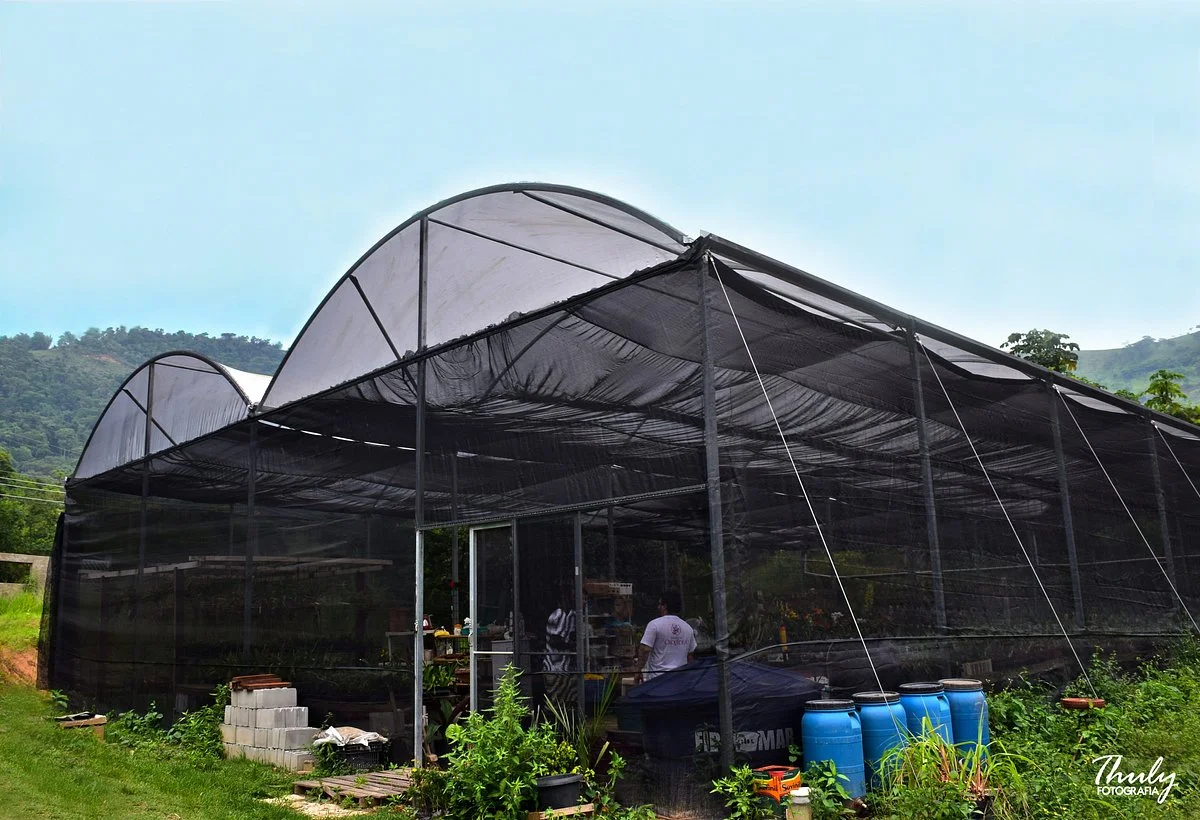Fábrica de Orquídeas
