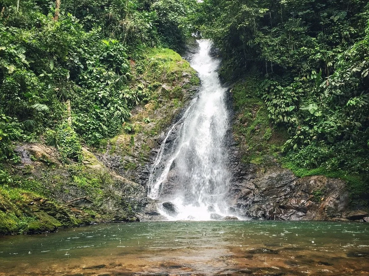Reserva Natural y Ecoturistica La Avispa