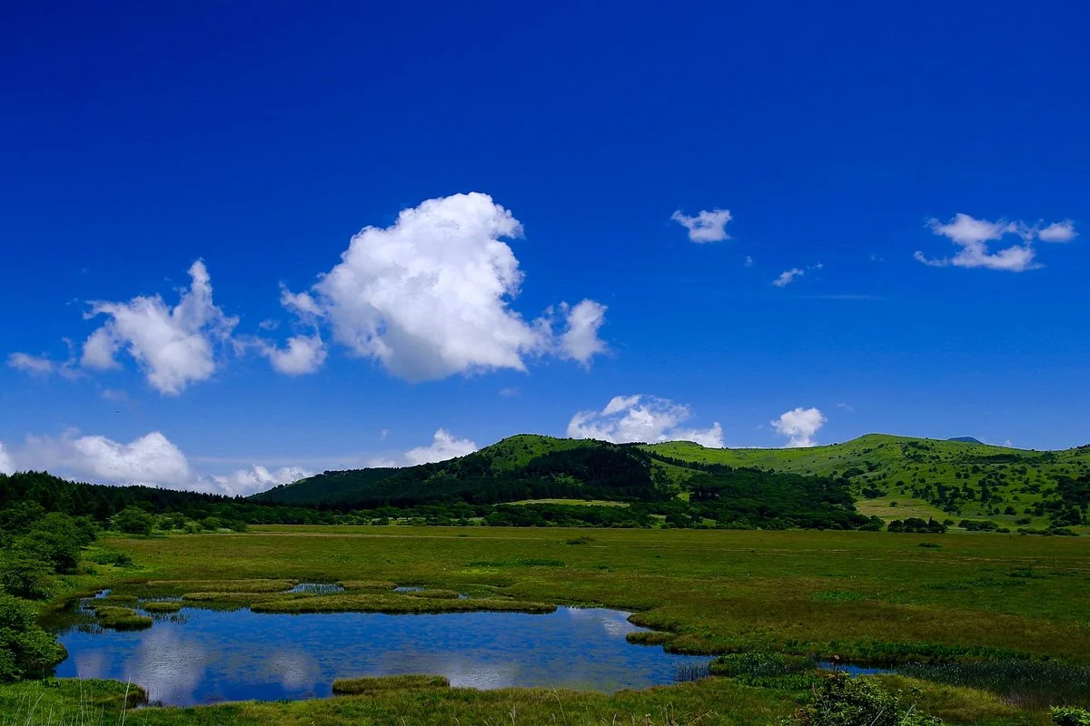 Yashimagahara Marsh