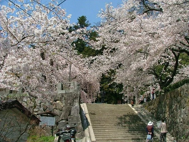 Omi no Sato Koryu Center