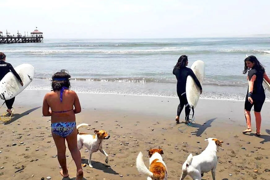 Surf Vivencial