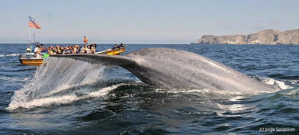 Turismo Sustentable