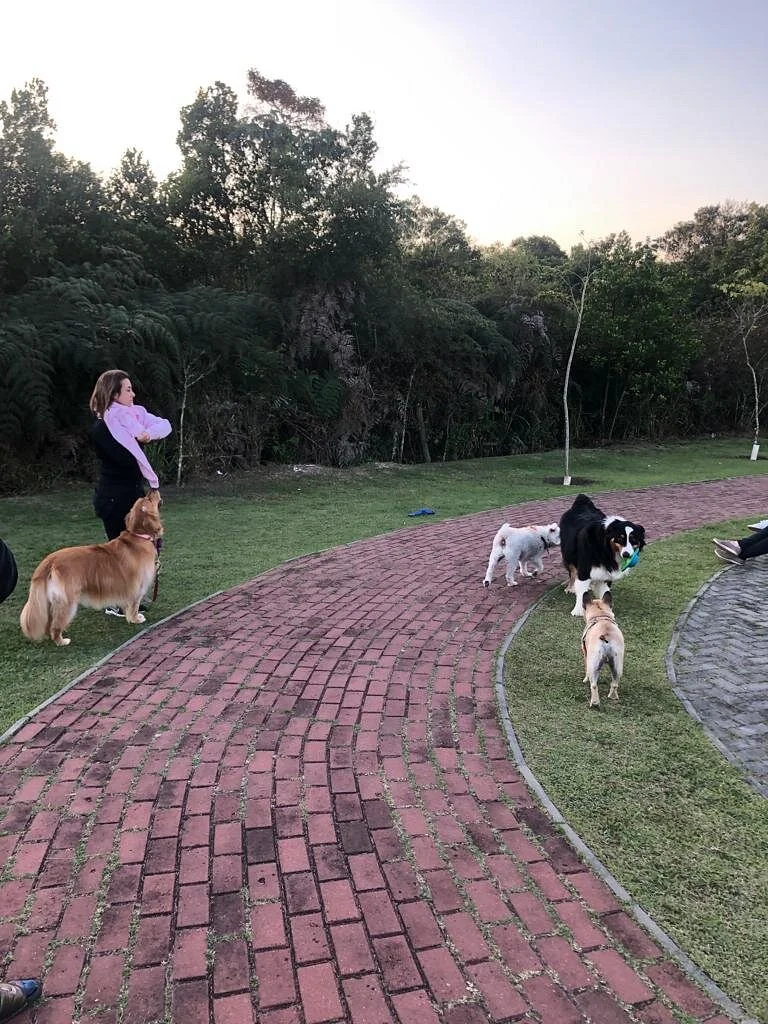 Parque Ribeirao Vermelho